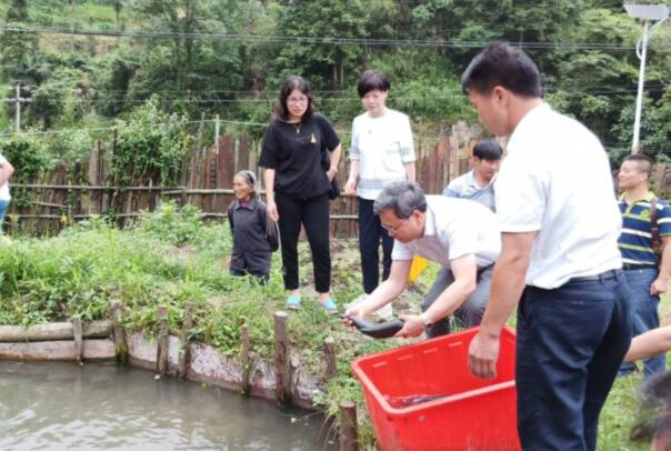 鱼苗.jpg