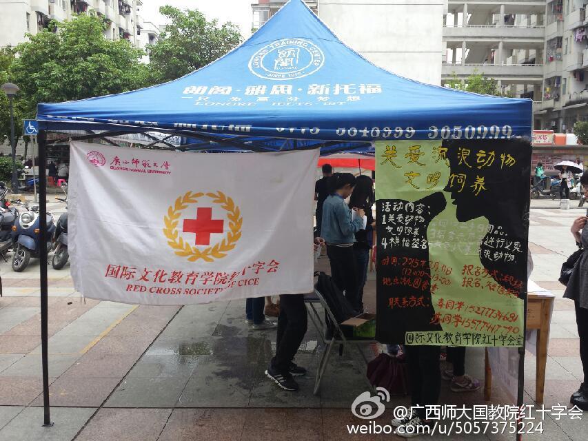 活动倡议“关爱流浪动物 文明饲养”