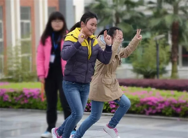 疯狂的兔子跳起来！