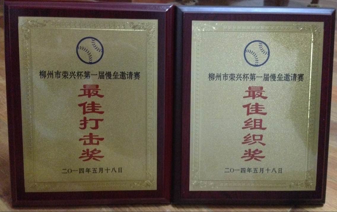 球队荣获最佳组织奖和最佳打击奖